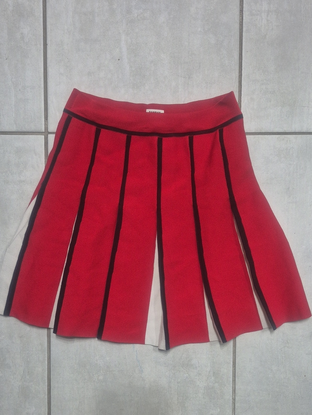Sunday Best Aritzia Bambi Pleated Mini Skirt